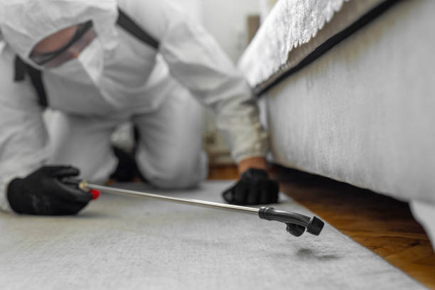 Professional Termite Control technician working in Andale, KS