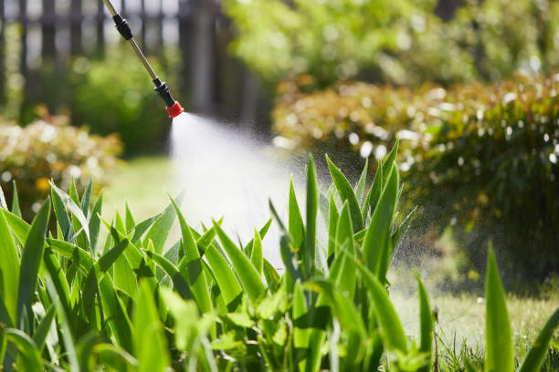 24/7 Emergency Termite Control experts in Andale, KS